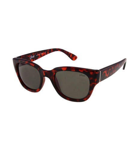 Jase New York Delano Sunglasses in Havana